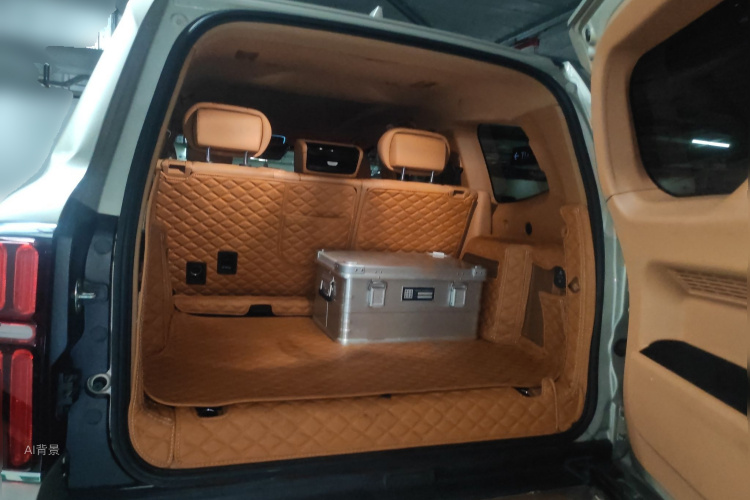 Tank 500 2023 immagine di auto #21