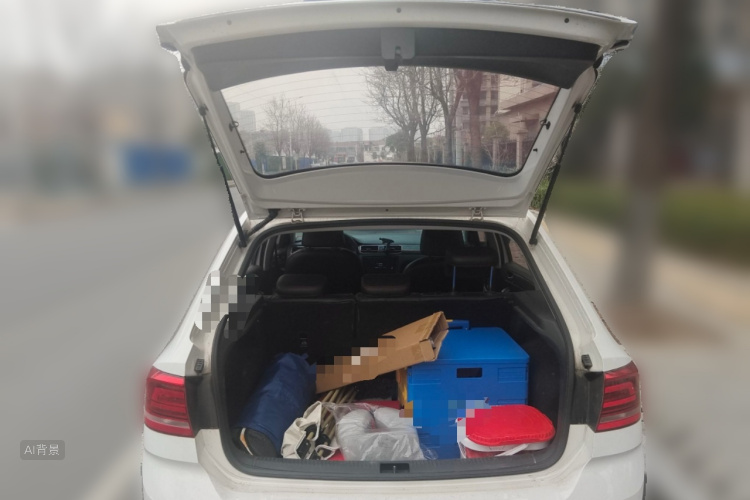 Santana 2019 car image #21