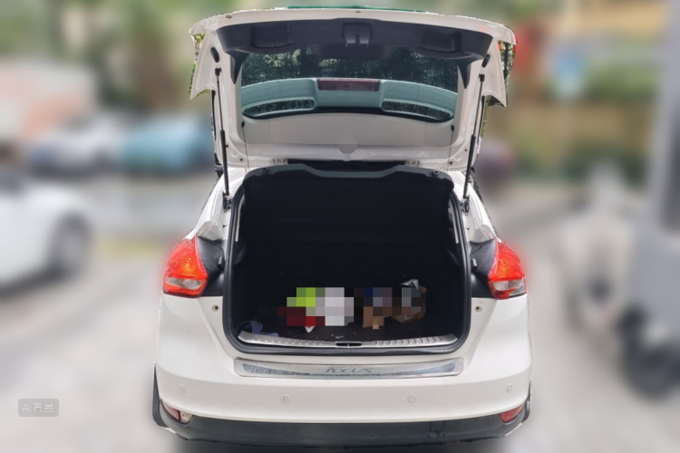 Ford Focus 2015 car image #21