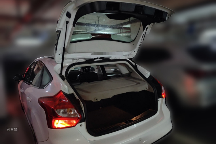 Ford Focus 2014 car image #21