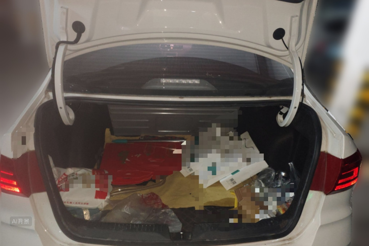 Santana 2021 car image #21