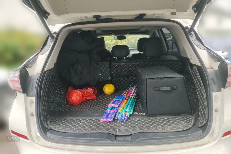 Nissan Murano 2020 imagem de carro #21