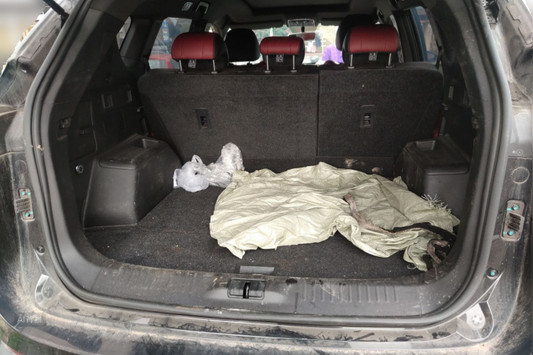 X70 PLUS 2022 car image #21