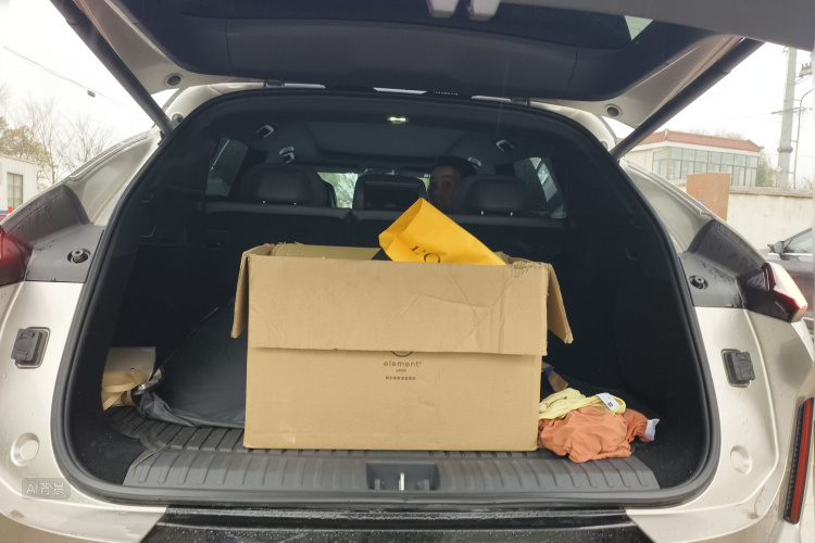 Lynk & Co 08 EM-P 2024 car image #21
