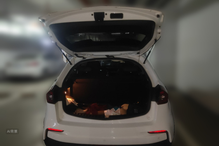 Vision X3 2019 #21 Vision X3 2019 car image #21