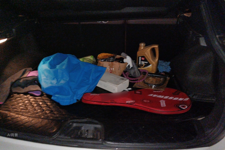 日产 逍客 2020 汽车图片 #21