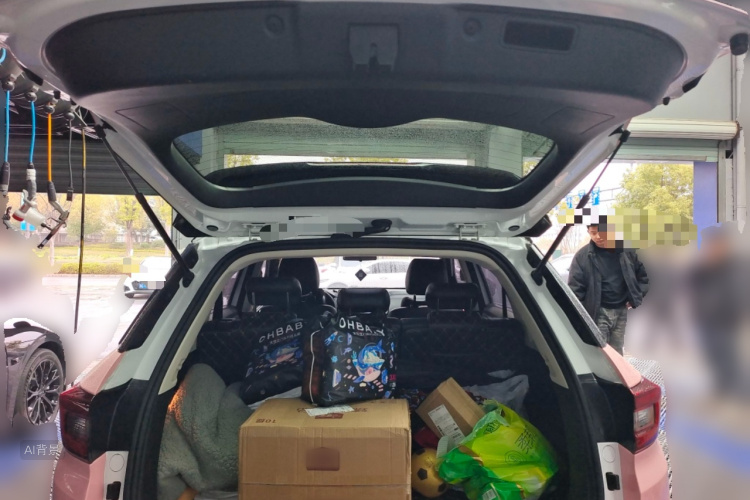 Changan CS55 2018 car image #21