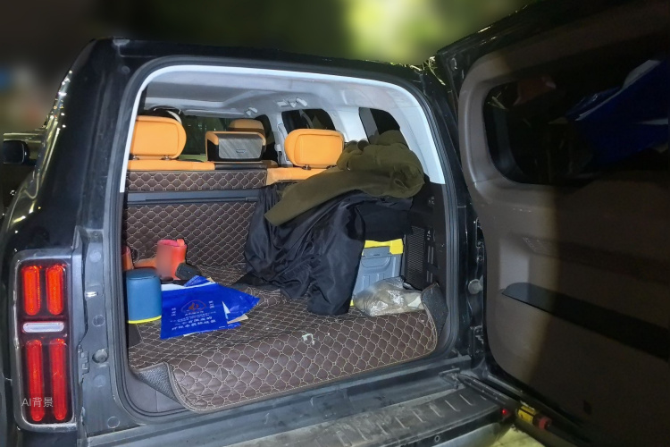 Tank 500 2022 immagine di auto #21