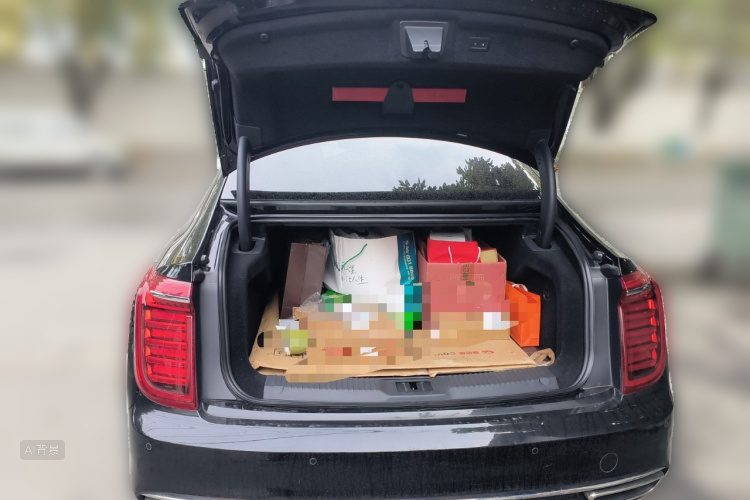 HongQi H9 2022 car image #21