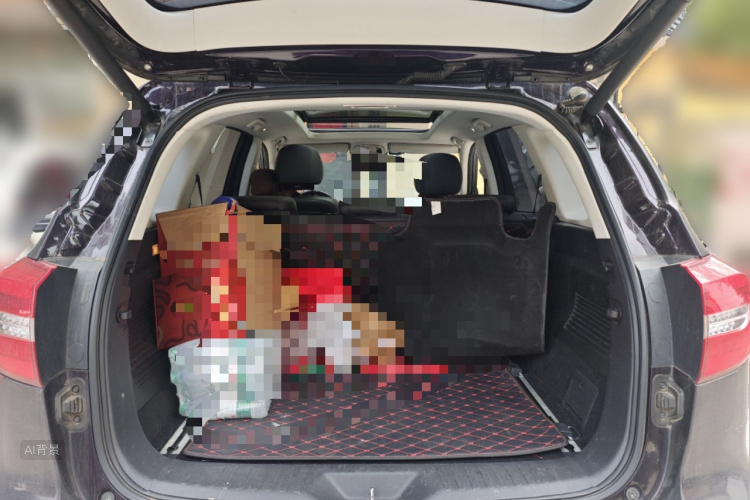 哈弗 哈弗H8 2018 汽车图片 #21