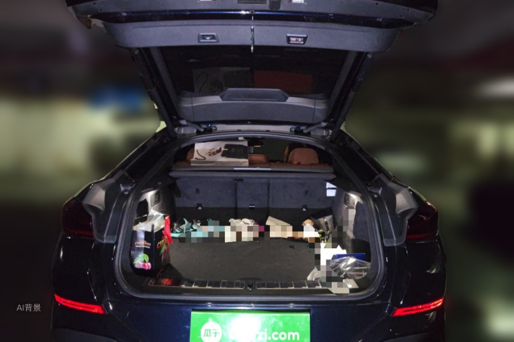 BMW X6 2024 car image #21