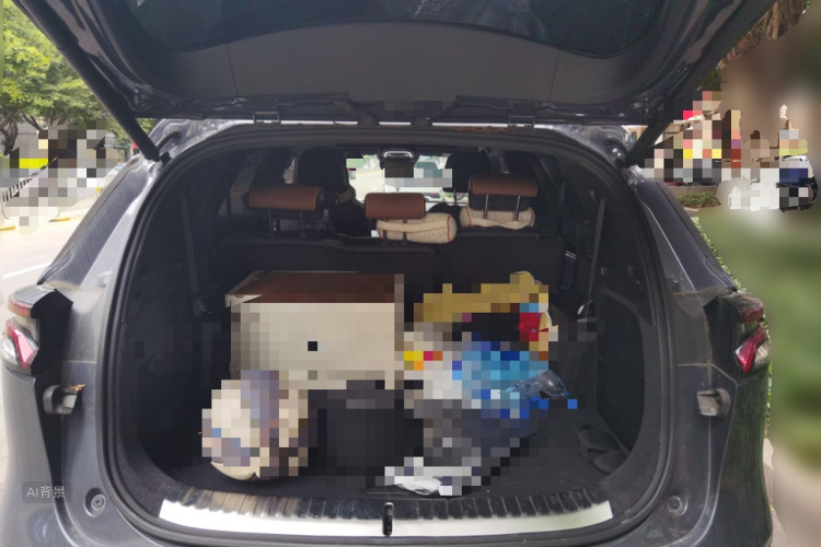 BYD Tang New Energy 2021 image de voiture #21