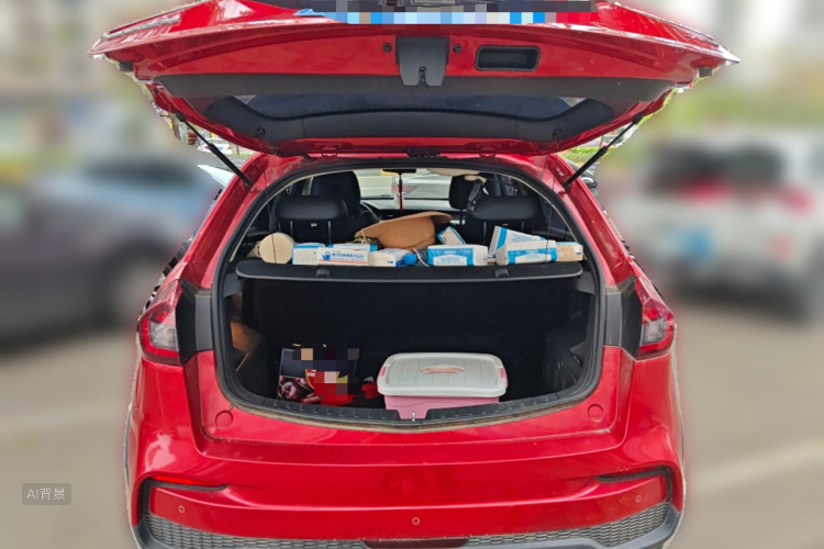 Vision X3 2019 car image #21