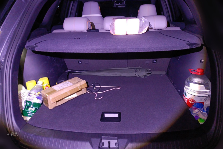 BYD Song Pro New Energy 2023 car image #21