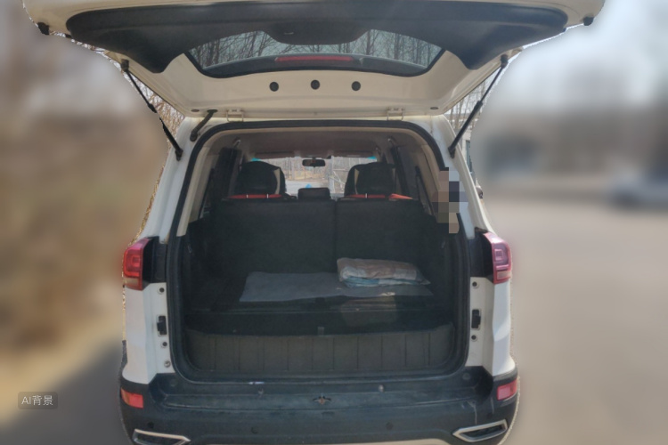 SWM X3 2020 image de voiture #21