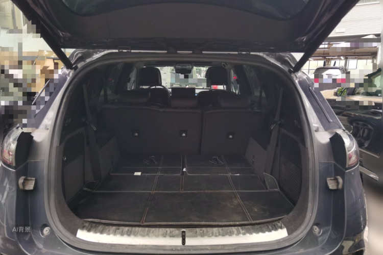 Denza X 2021 immagine di auto #21