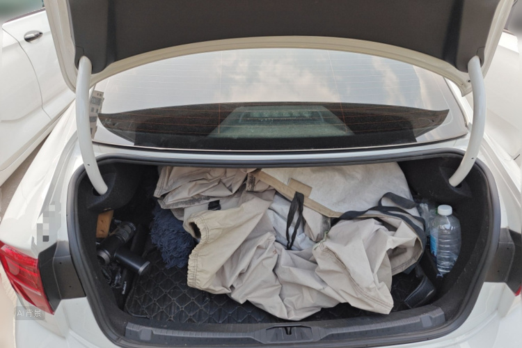 Volkswagen Lamando 2019 car image #21