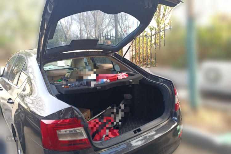 Skoda Octavia 2015 car image #21