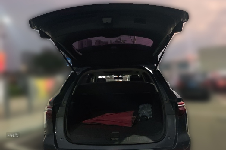 BYD Song Pro 2019 car image #21