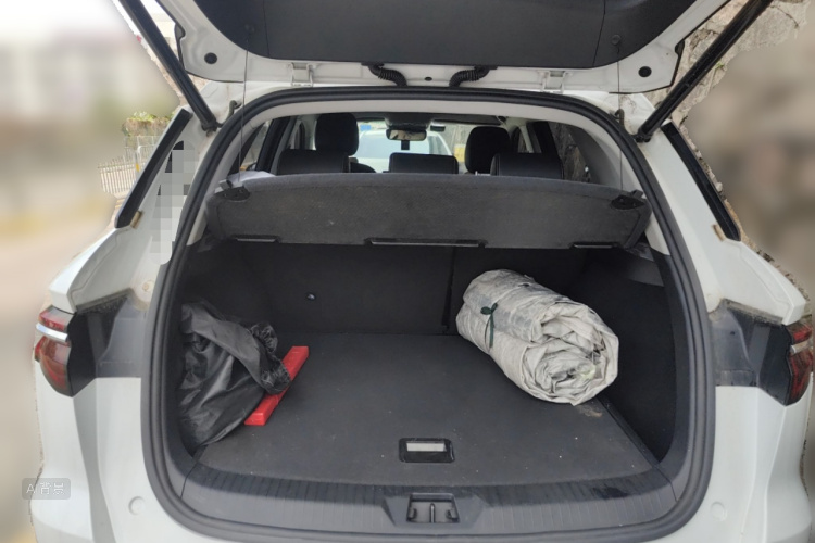 BYD Song Pro New Energy 2020 imagen de coche #21