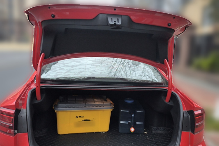 Volkswagen Lamando 2019 car image #21