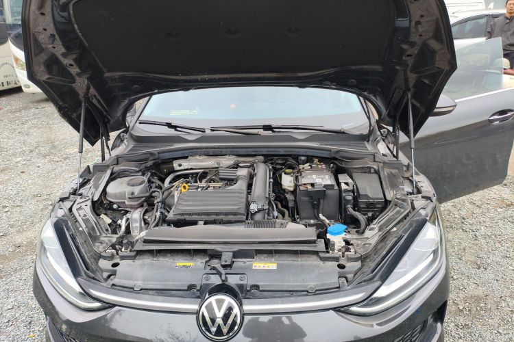 Volkswagen Lamando 2024 car image #21