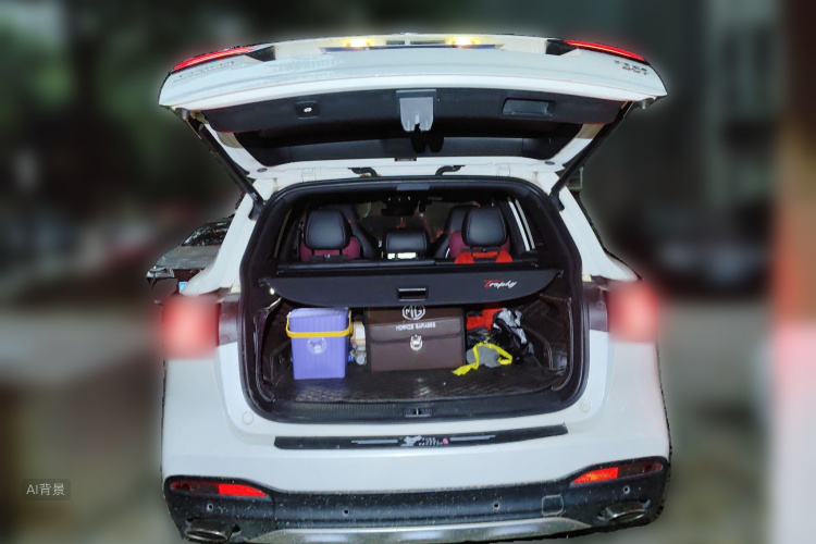 MG HS 2021 image de voiture #21