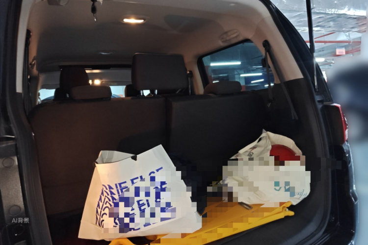 JAC 2023 car image #21