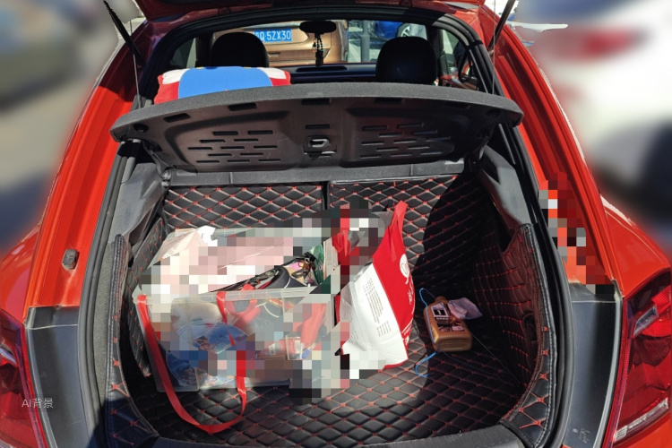 Volkswagen Beetle 2019 car image #21