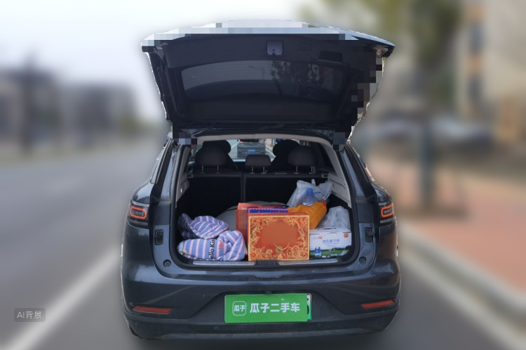 零跑汽车 零跑C11 2023 汽车图片 #21