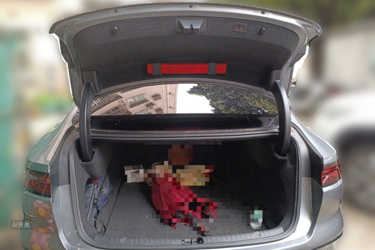 BYD Han 2022 car image #21