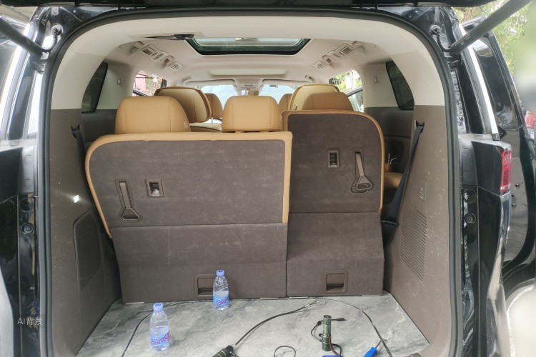 Denza D9 2023 imagem de carro #21