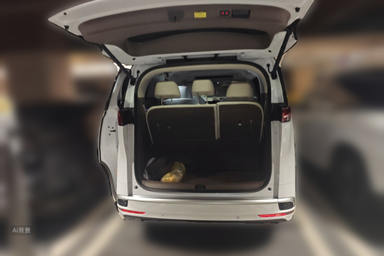 Denza D9 2023 imagen de coche #21