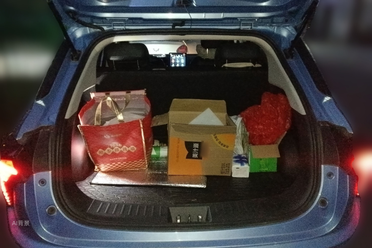 Neta V 2022 صورة سيارة #21