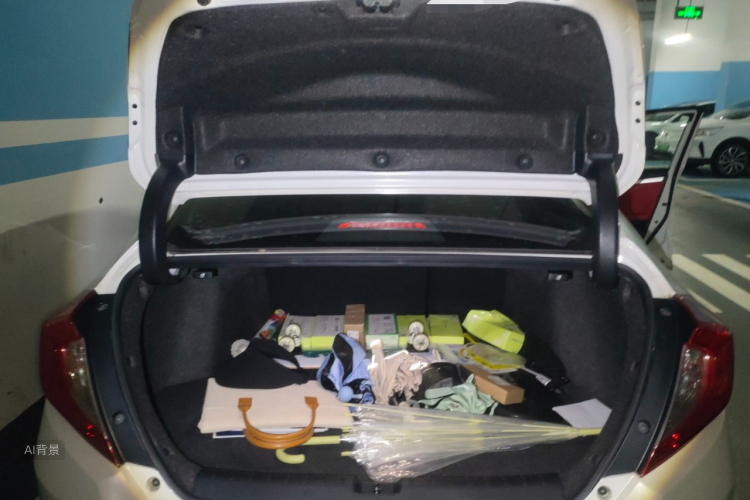 Honda Civic 2019 car image #21