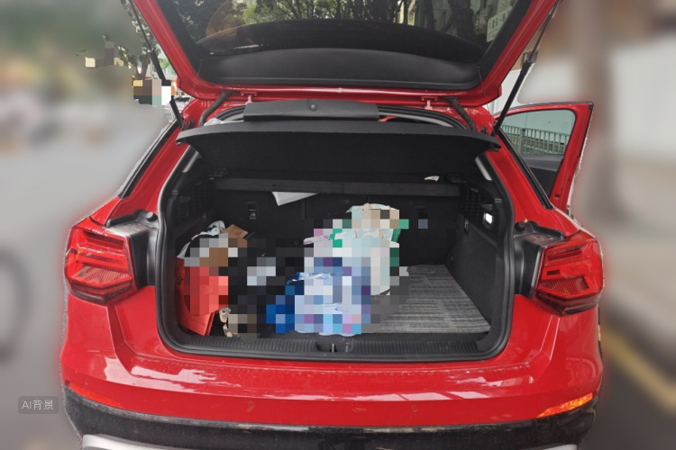 奥迪Q2L 2020 汽车图片 #21