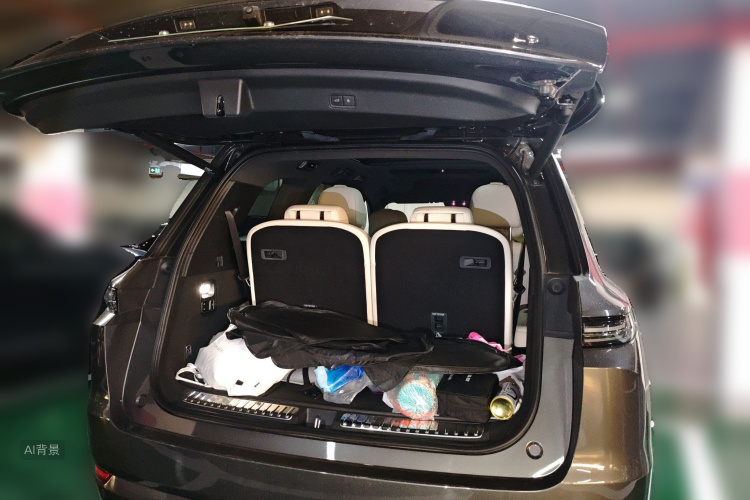 Li L9 2023 imagen de coche #21