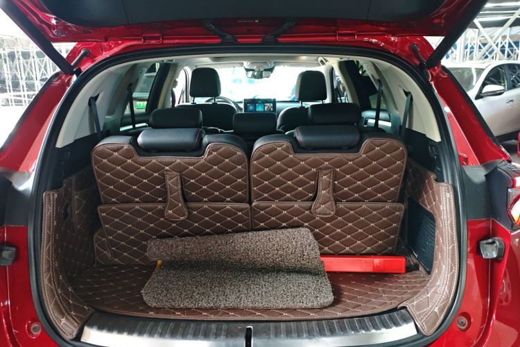 BYD Tang New Energy 2019 car image #21