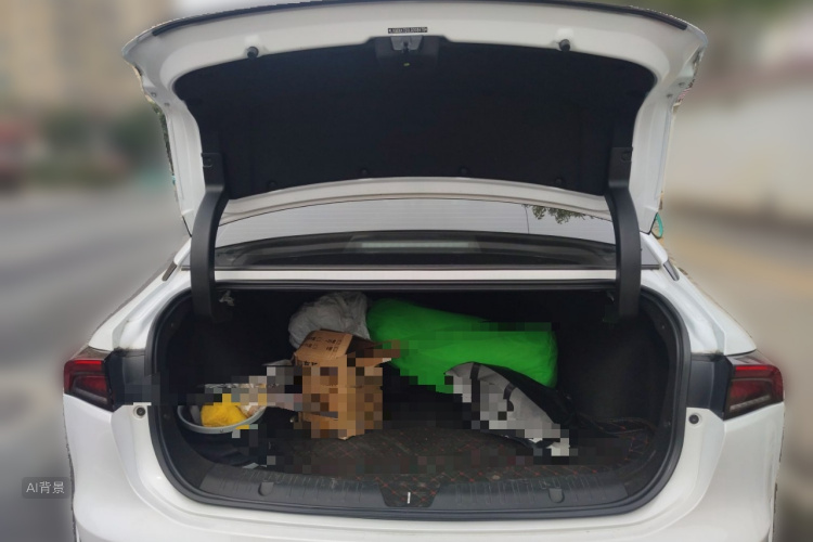 GAC iA5 2020 image de voiture #21