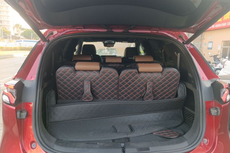 BYD Tang New Energy 2022 car image #21