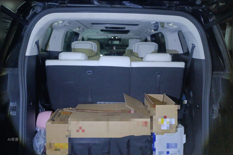 广汽传祺 传祺E9 2023 汽车图片 #21