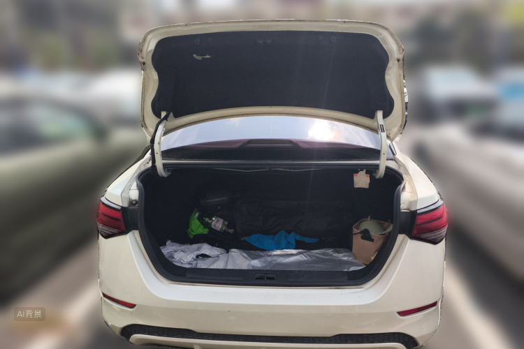 日产 轩逸 2020 汽车图片 #21