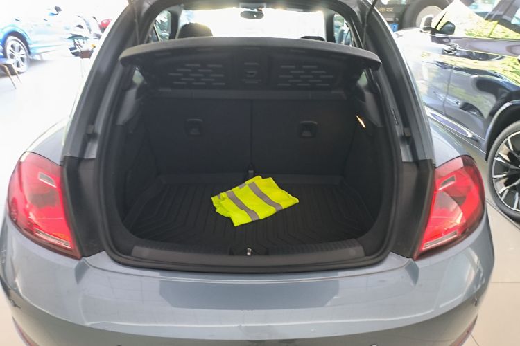 Volkswagen Beetle 2018 immagine di auto #21