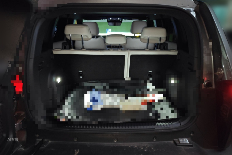 FangChengBao Tiger 3 2025 car image #21