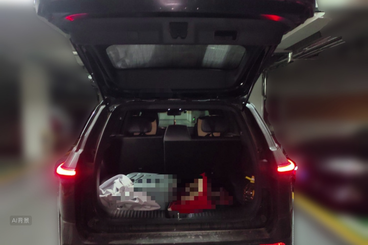 Toyota Bozhi 3X 2025 immagine di auto #21