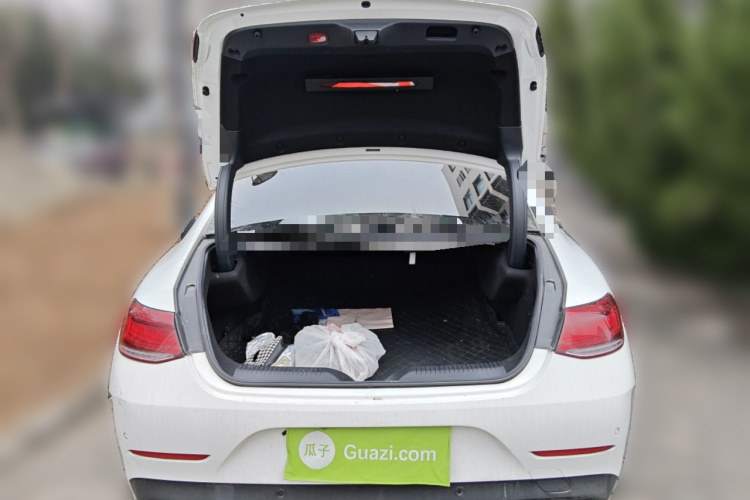 Mercedes-Benz CLS Class 2021 car image #21