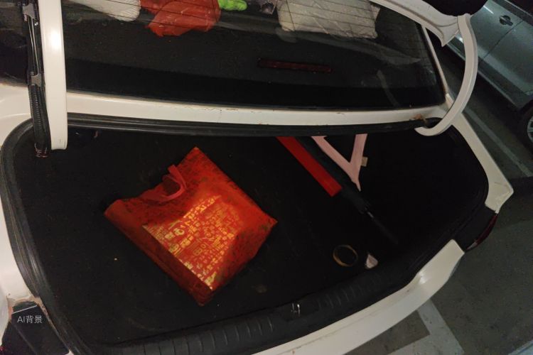 起亚 起亚K4 2015 汽车图片 #21