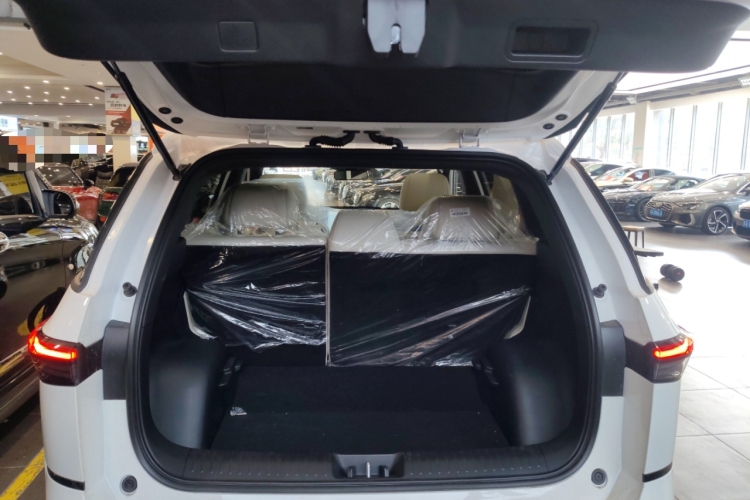 Toyota Bozhi 3X 2025 car image #21