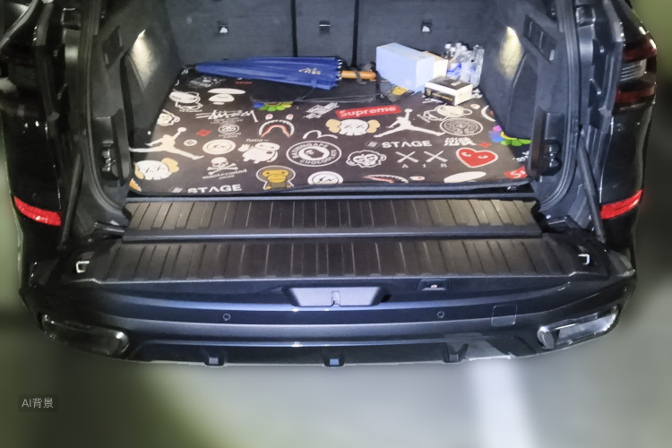 BMW X5 (Imported) 2019 car image #21