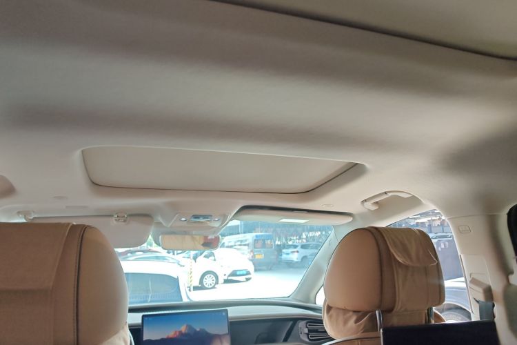 Denza D9 2023 imagem de carro #21